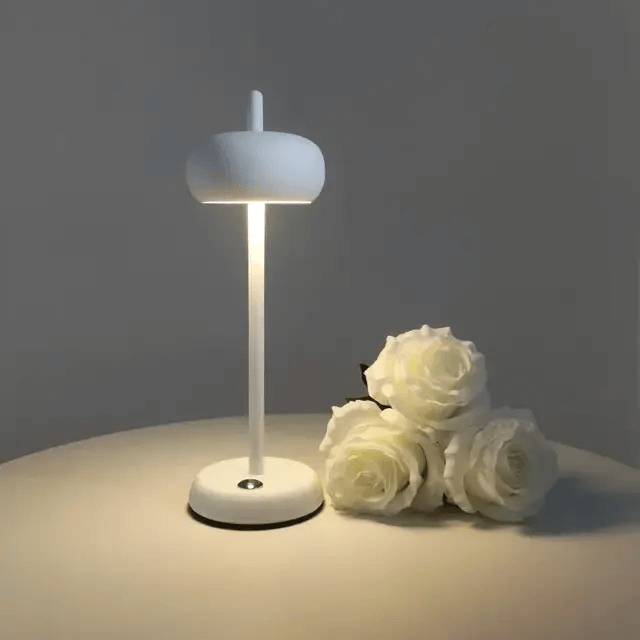 Lampe rechargeable à intensité variable│BOWL - product_type_Floor lamp arc
