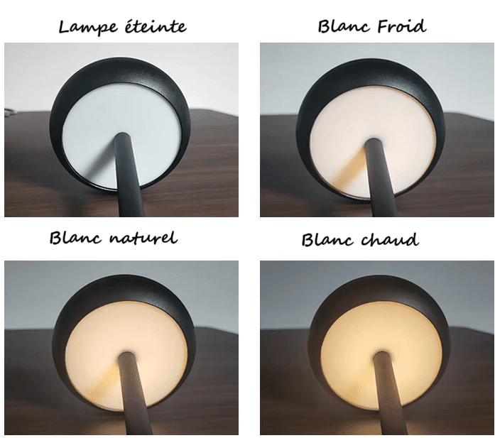 Lampe rechargeable à intensité variable│BOWL - product_type_Floor lamp arc
