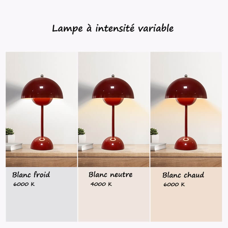 Lampe rechargeable à intensité variable│BRAYANCE - product_type_Floor lamp arc