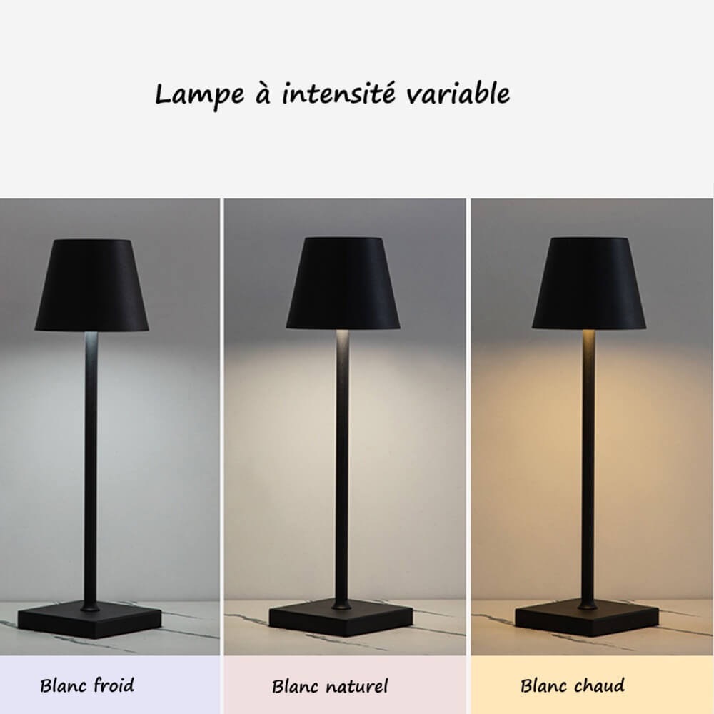 Lampe rechargeable à intensité variable│IOTAE - product_type_Floor lamp arc