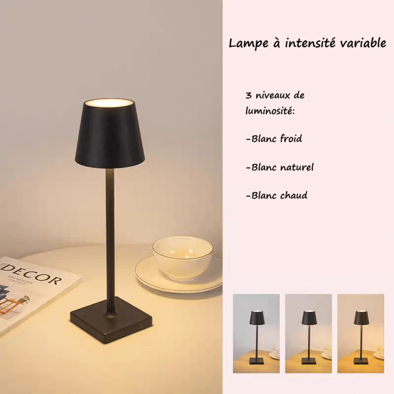 Lampe rechargeable à intensité variable│IOTAE - product_type_Floor lamp arc